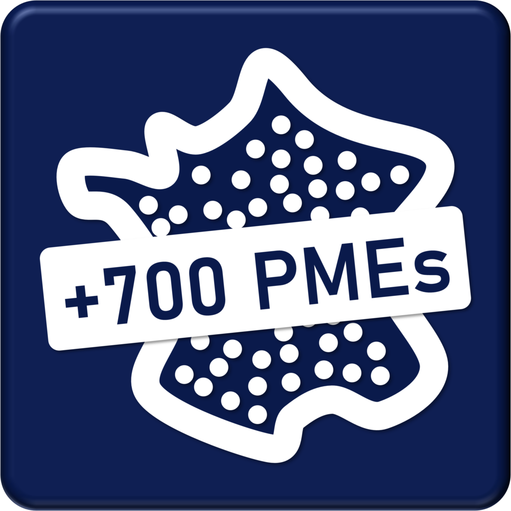 Picto : Certification ISO plus de 700 entreprises françaises accompagnées pour capitaliser sur l'expérience